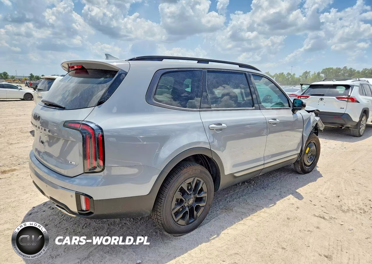 2023 Kia Telluride Sx X-Pro VIN:5XYP5DGC7PG369451 - 3