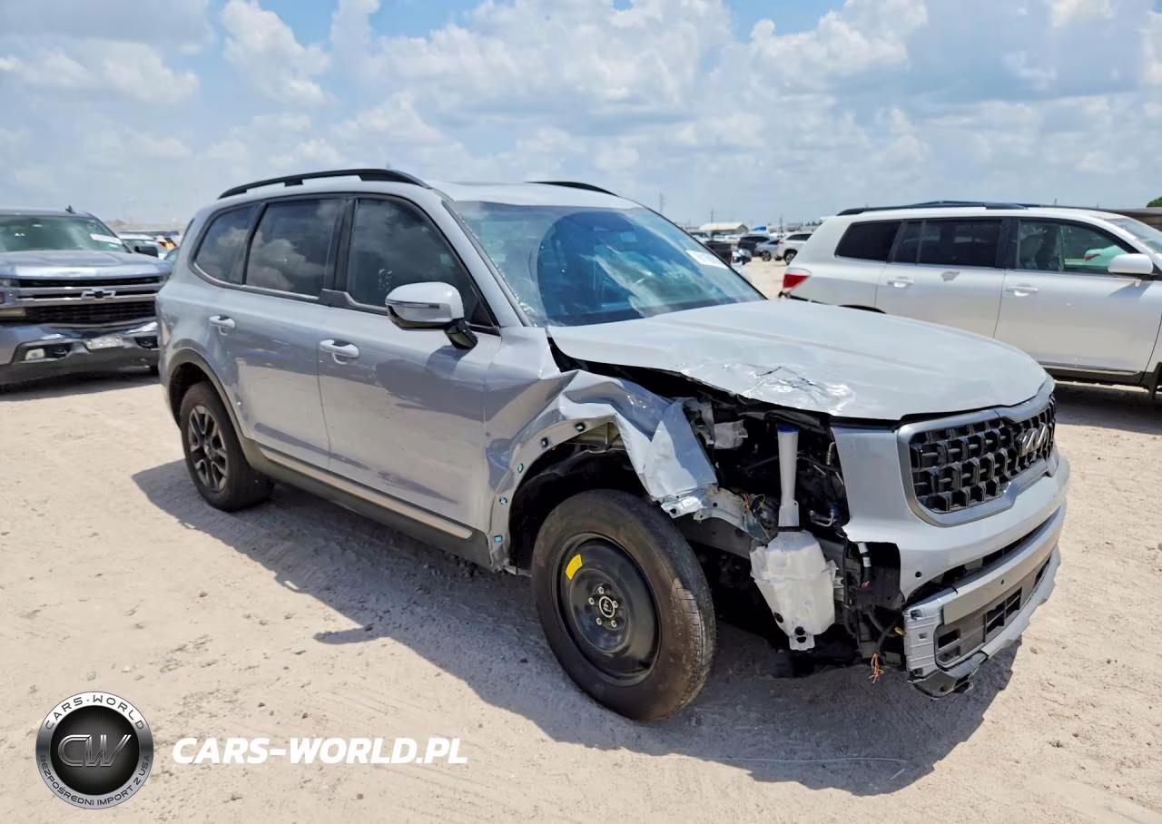 2023 Kia Telluride Sx X-Pro VIN:5XYP5DGC7PG369451 - 4