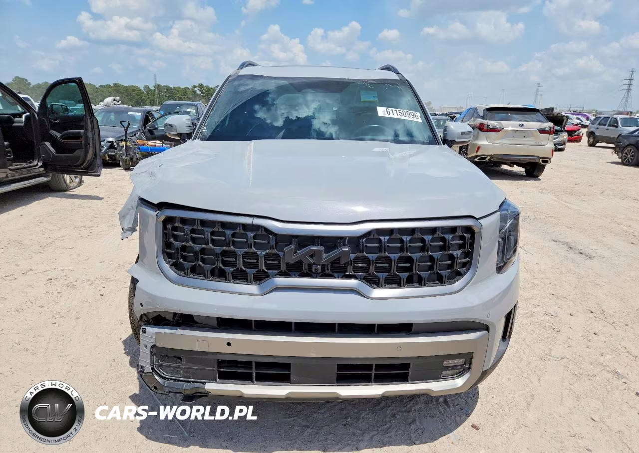 2023 Kia Telluride Sx X-Pro VIN:5XYP5DGC7PG369451 - 5