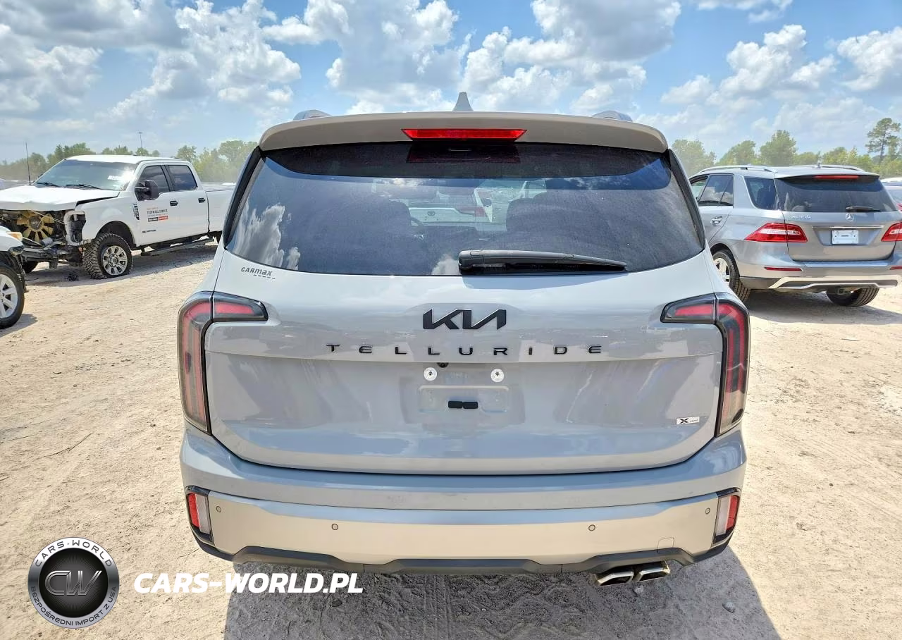 2023 Kia Telluride Sx X-Pro VIN:5XYP5DGC7PG369451 - 6