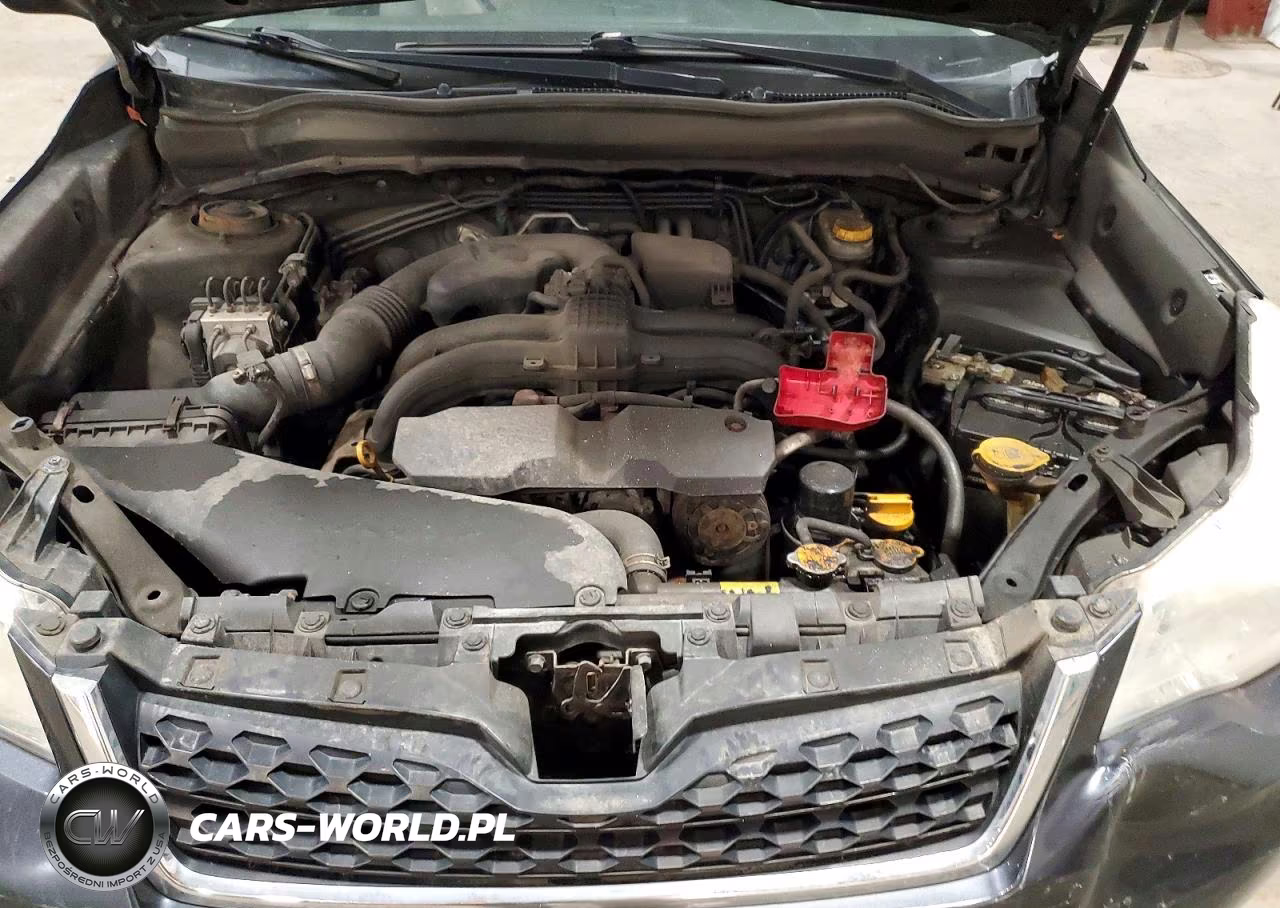 2014 Subaru Forester 2.5I Premium VIN:JF2SJAEC9EH415052 - 12