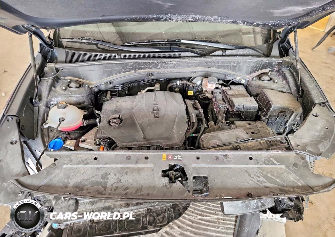 2023 Hyundai Santa Fe Sel Premium VIN:5NMS34AJ5PH546768 - 12
