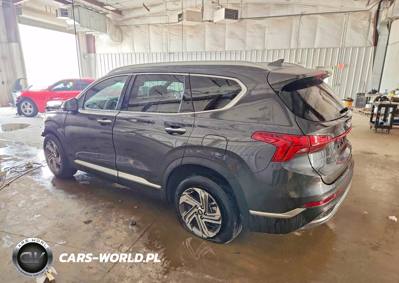 2023 Hyundai Santa Fe Sel Premium VIN:5NMS34AJ5PH546768 - 2