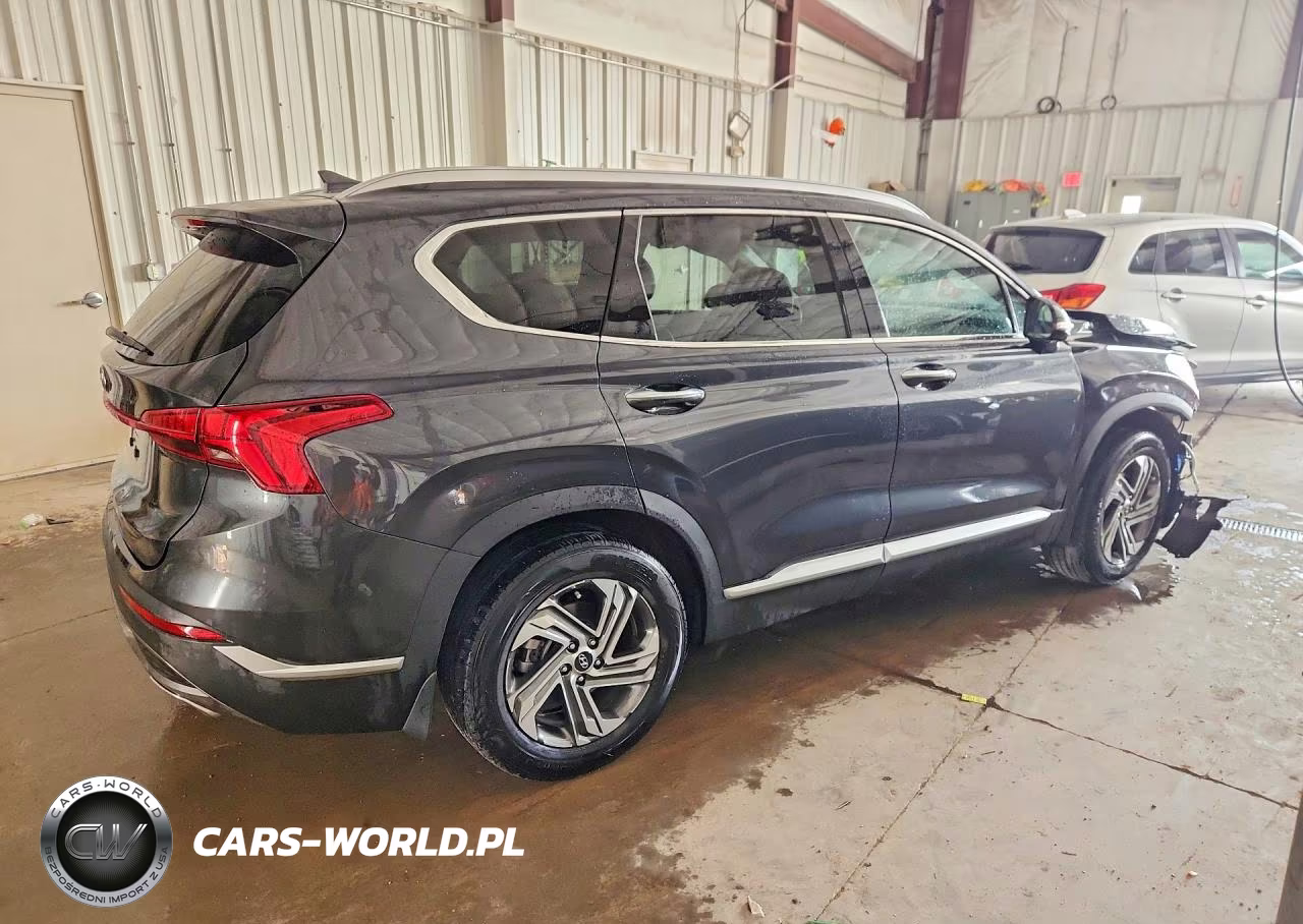2023 Hyundai Santa Fe Sel Premium VIN:5NMS34AJ5PH546768 - 3
