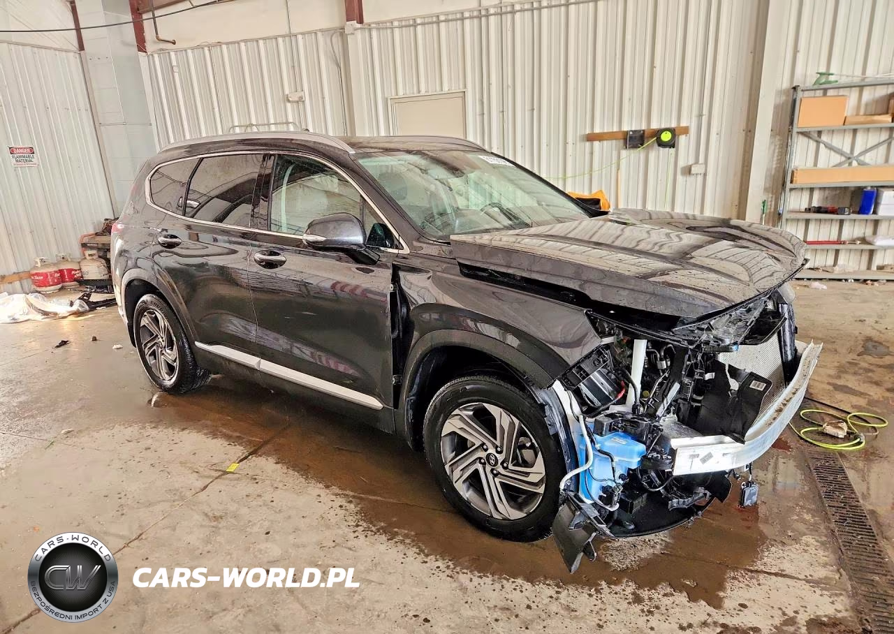 2023 Hyundai Santa Fe Sel Premium VIN:5NMS34AJ5PH546768 - 4