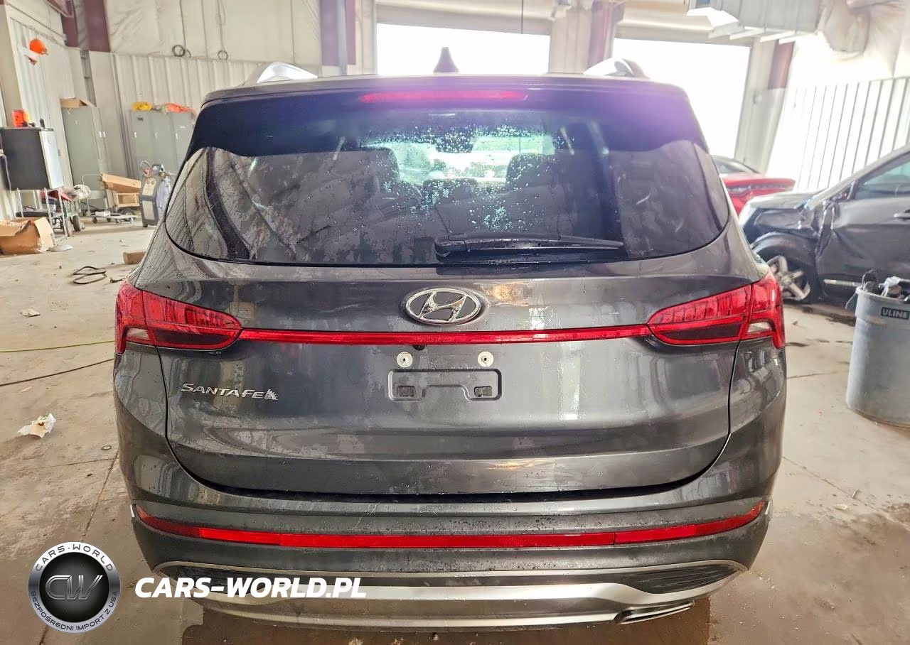 2023 Hyundai Santa Fe Sel Premium VIN:5NMS34AJ5PH546768 - 6