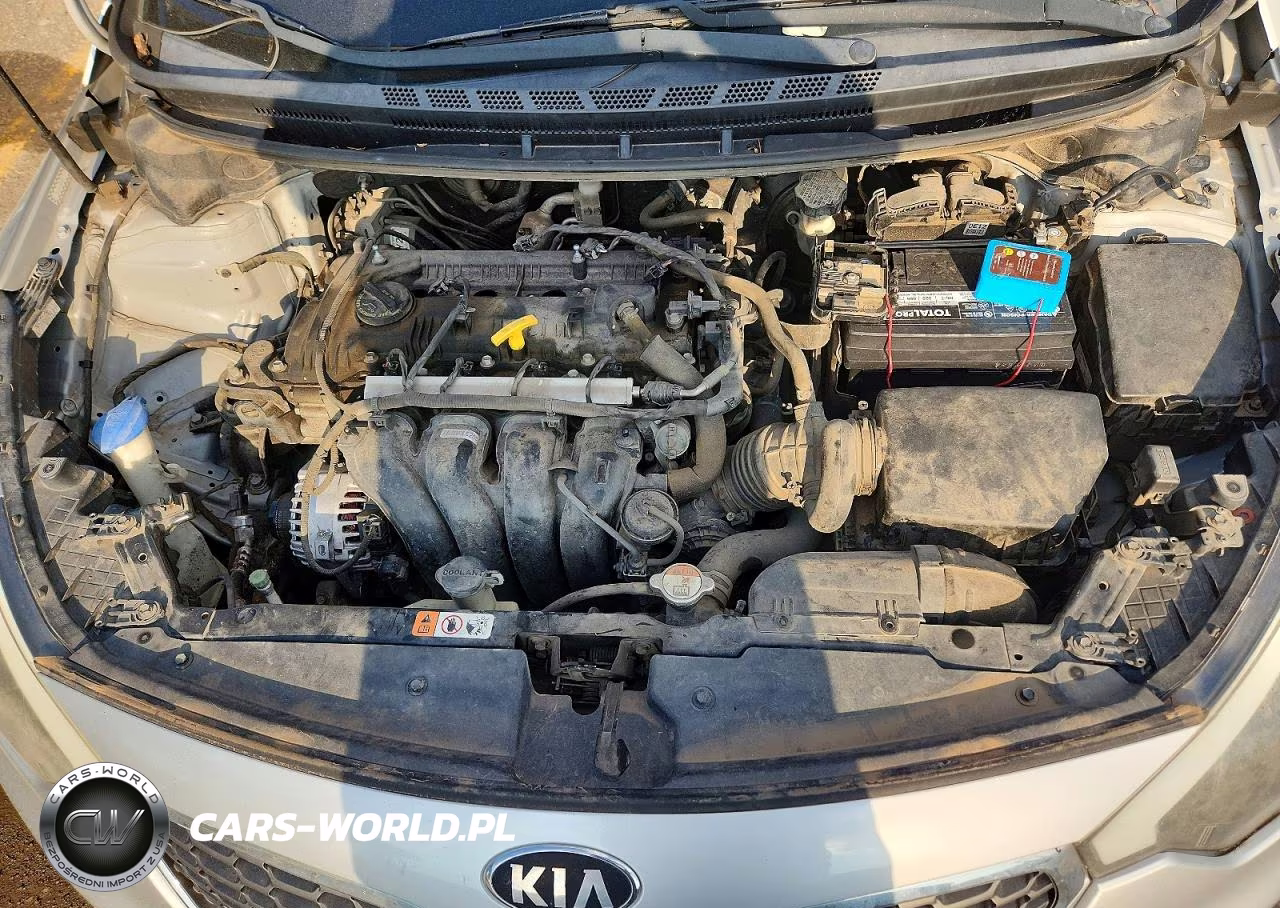 2016 Kia Forte Lx VIN:KNAFK4A65G5439381 - 11