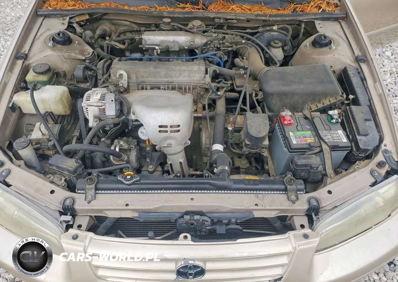 1999 Toyota Camry Xle VIN:JT2BG28K8X0284101 - 11