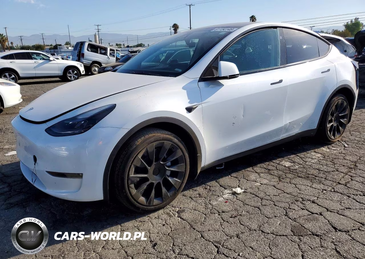 2024 Tesla Model Y VIN:7SAYGDEE9RA233710 - 1
