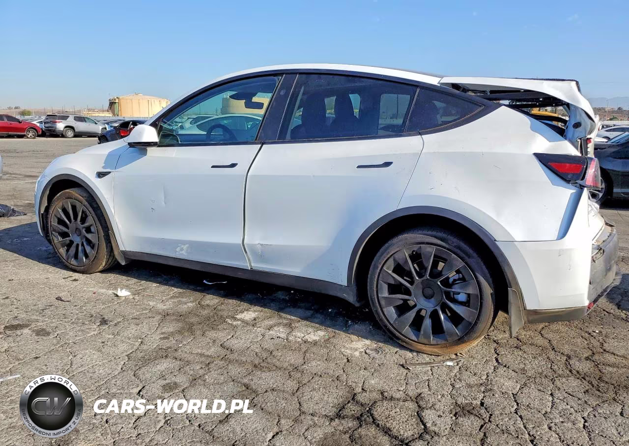 2024 Tesla Model Y VIN:7SAYGDEE9RA233710 - 2