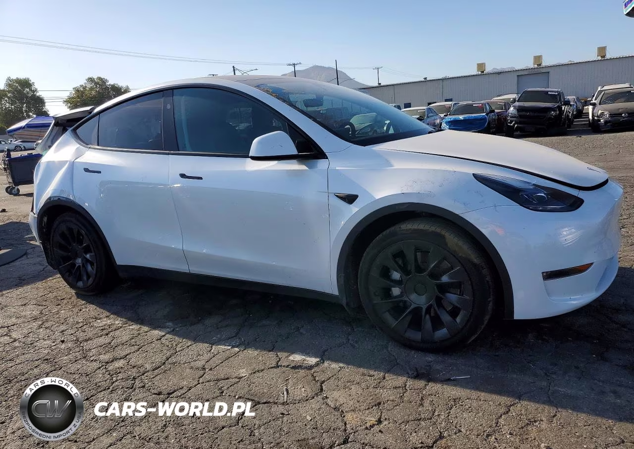 2024 Tesla Model Y VIN:7SAYGDEE9RA233710 - 4