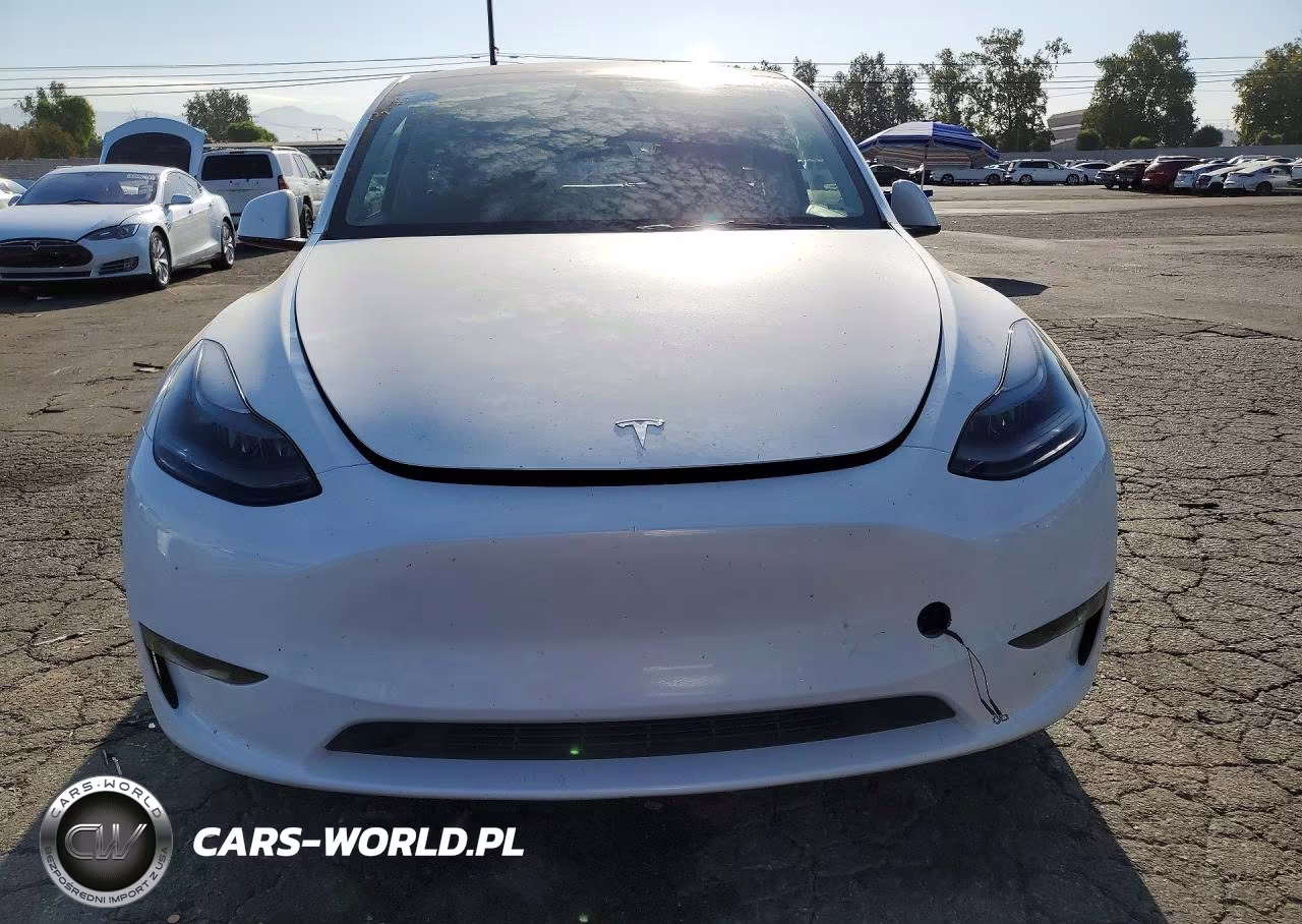 2024 Tesla Model Y VIN:7SAYGDEE9RA233710 - 5