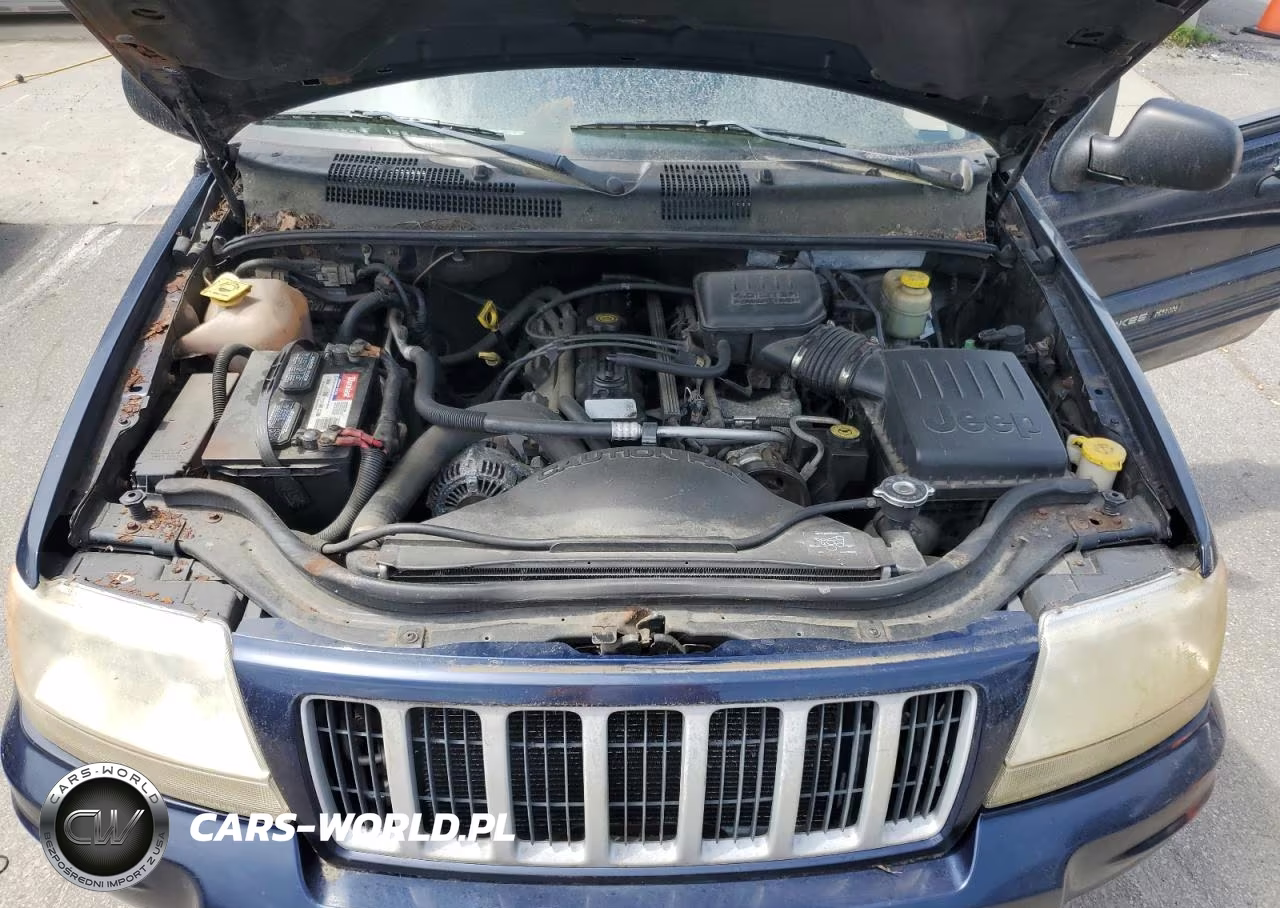 2004 Jeep Grand Cherokee Laredo VIN:1J4GW48S84C179042 - 12