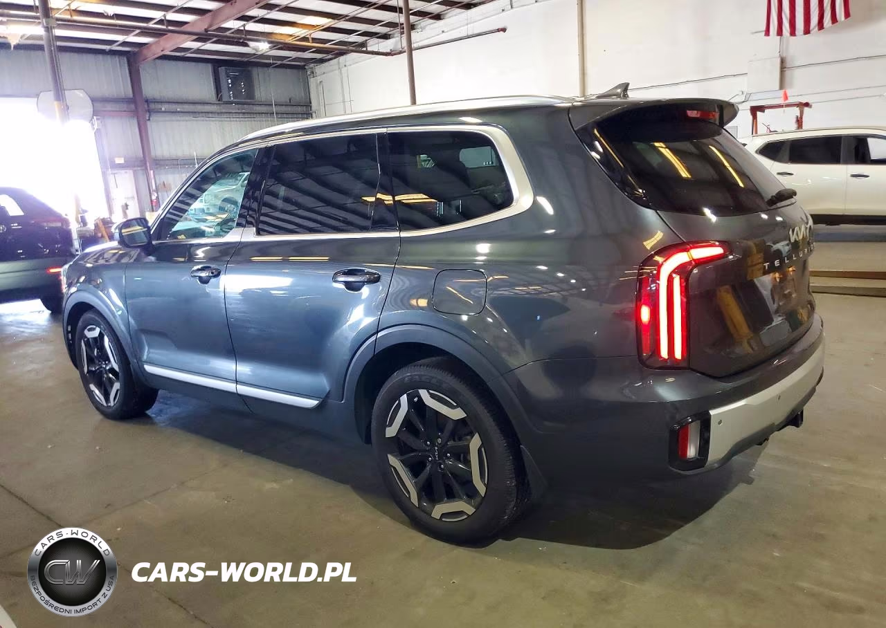 2024 Kia Telluride Ex VIN:5XYP34GC3RG528930 - 2