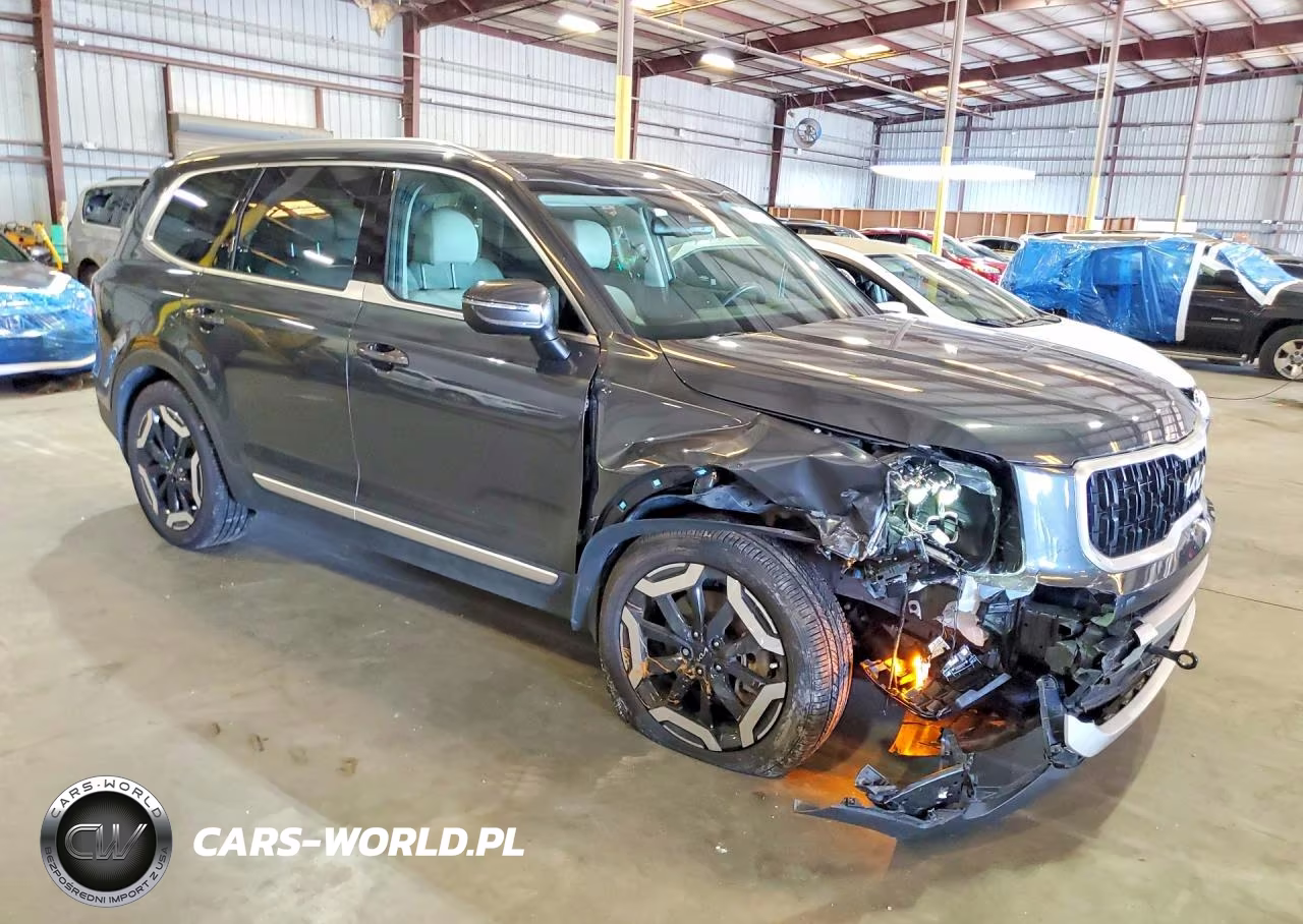2024 Kia Telluride Ex VIN:5XYP34GC3RG528930 - 4