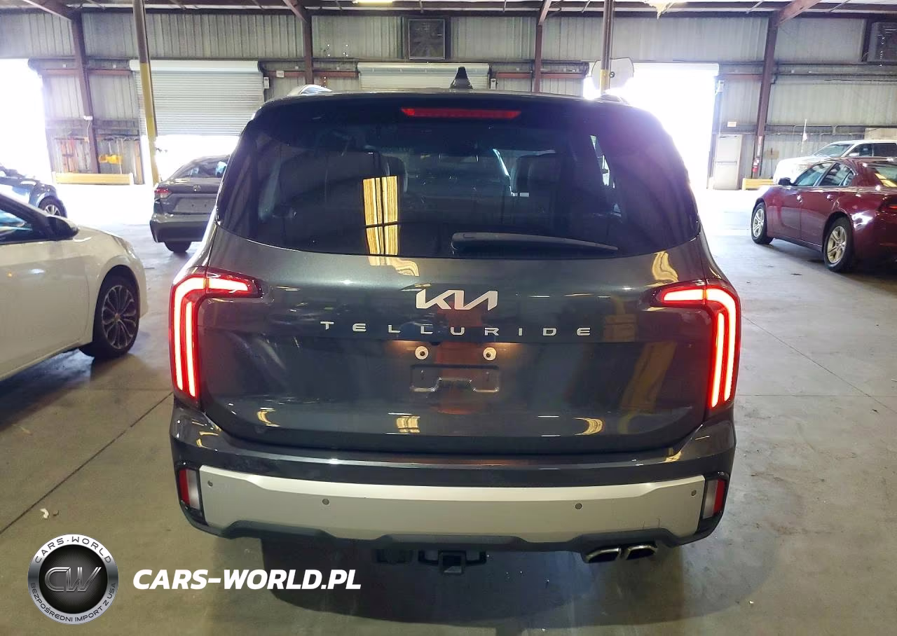 2024 Kia Telluride Ex VIN:5XYP34GC3RG528930 - 6