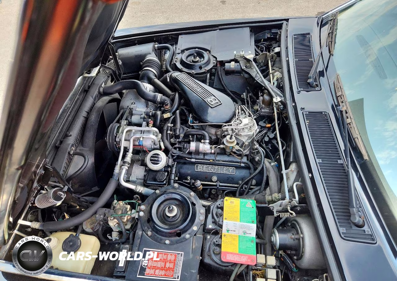 1991 Bentley Turbo R VIN:SCBZR03D0MCX34737 - 11