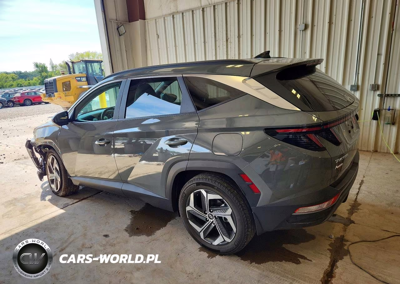 2024 Hyundai Tucson Sel VIN:5NMJFCDEXRH297205 - 2