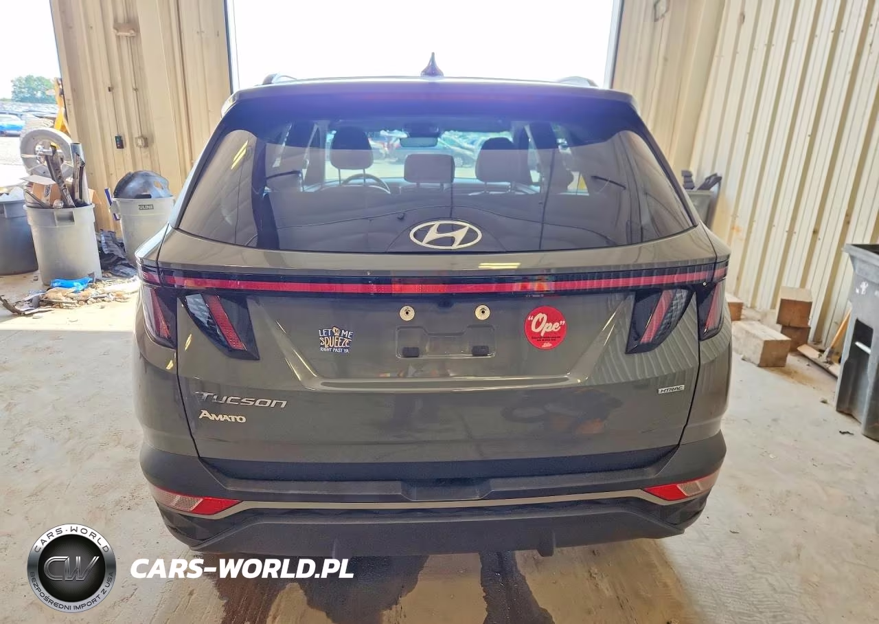 2024 Hyundai Tucson Sel VIN:5NMJFCDEXRH297205 - 6