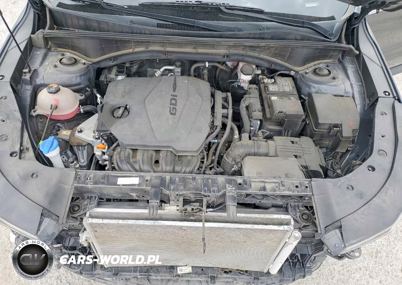 2024 Kia Sorento S VIN:5XYRL4JC0RG257665 - 12
