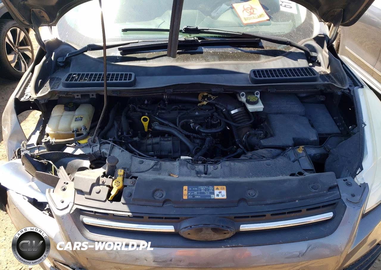 2013 Ford Escape Se VIN:1FMCU0GX1DUD35587 - 12