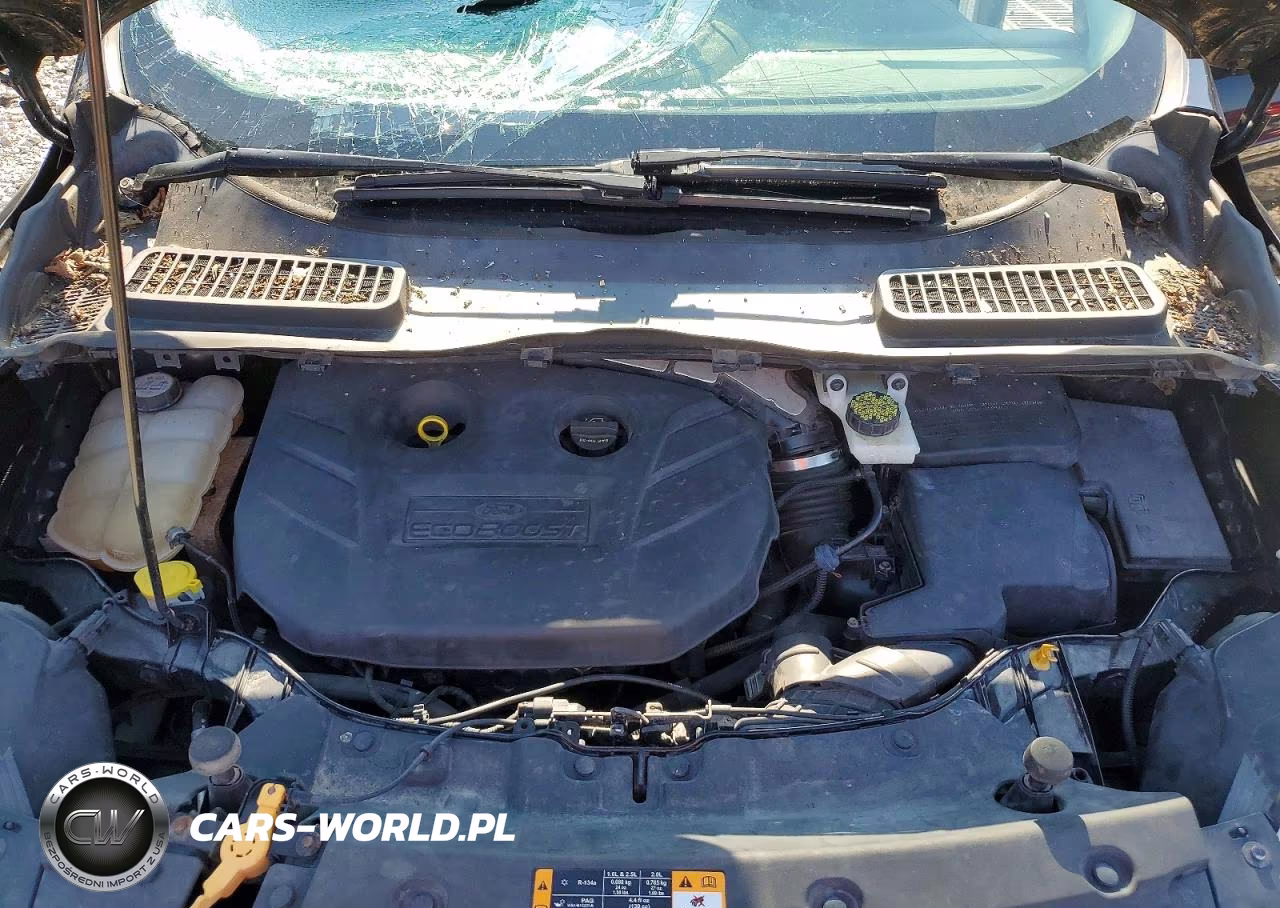 2013 Ford Escape Sel VIN:1FMCU0H97DUA53986 - 12