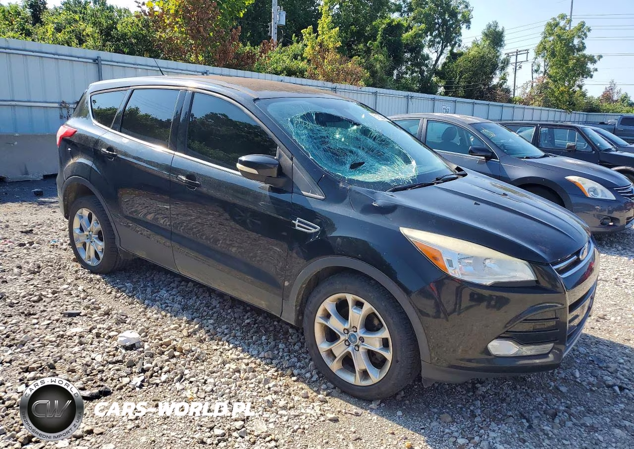 2013 Ford Escape Sel VIN:1FMCU0H97DUA53986 - 4