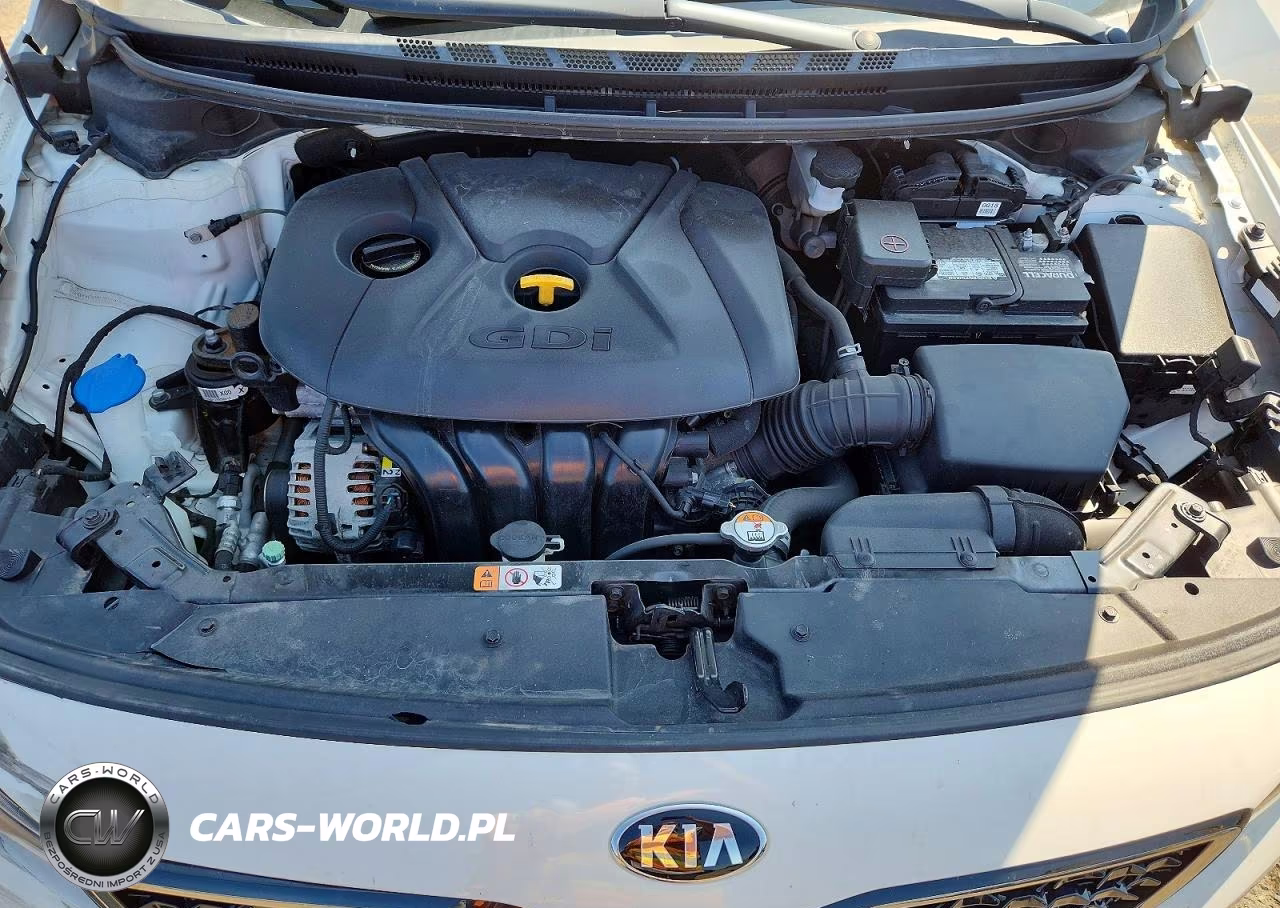 2017 Kia Forte Lx VIN:KNAFK5A85H5693598 - 11