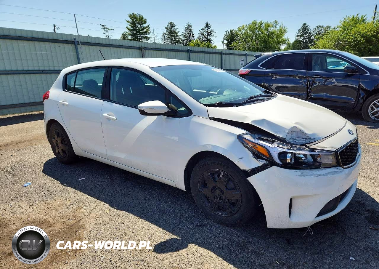 2017 Kia Forte Lx VIN:KNAFK5A85H5693598 - 4