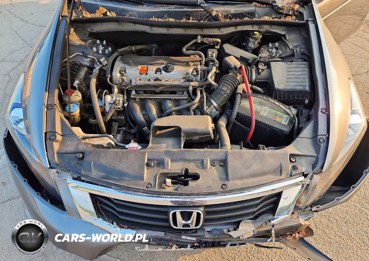2010 Honda Accord VIN:1HGCP2F34AA137784 - 11