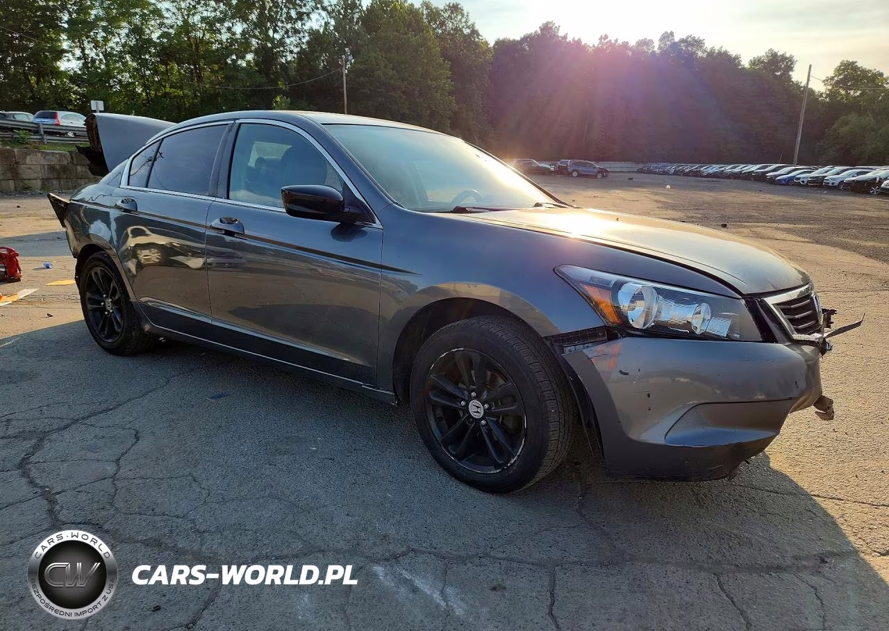 2010 Honda Accord VIN:1HGCP2F34AA137784 - 4