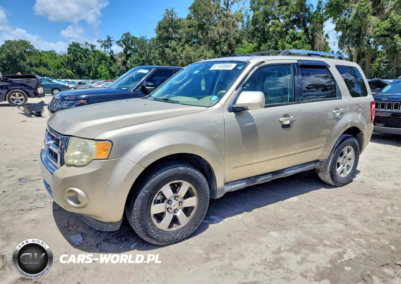 2010 Ford Escape Limited