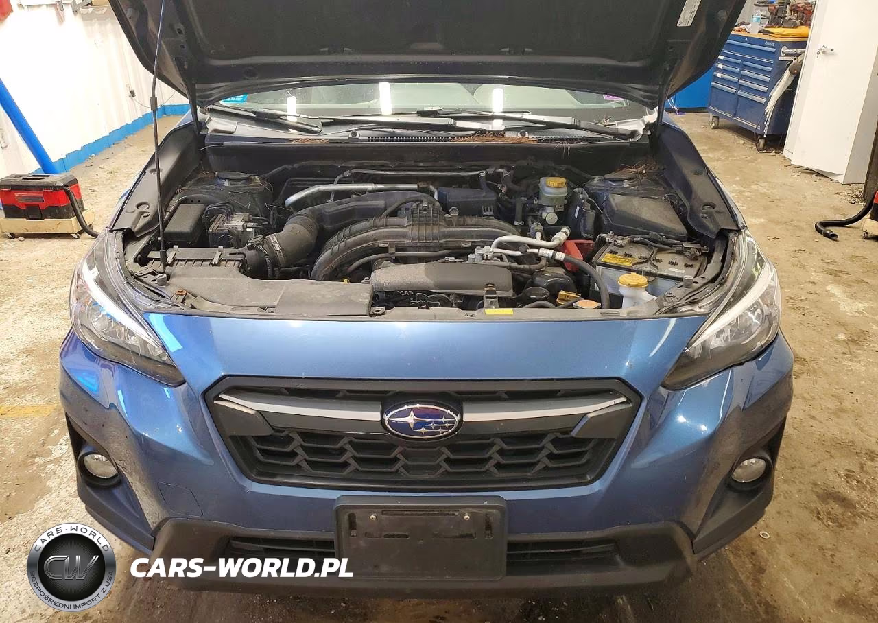 2020 Subaru Crosstrek Premium VIN:JF2GTACC3L9266101 - 12