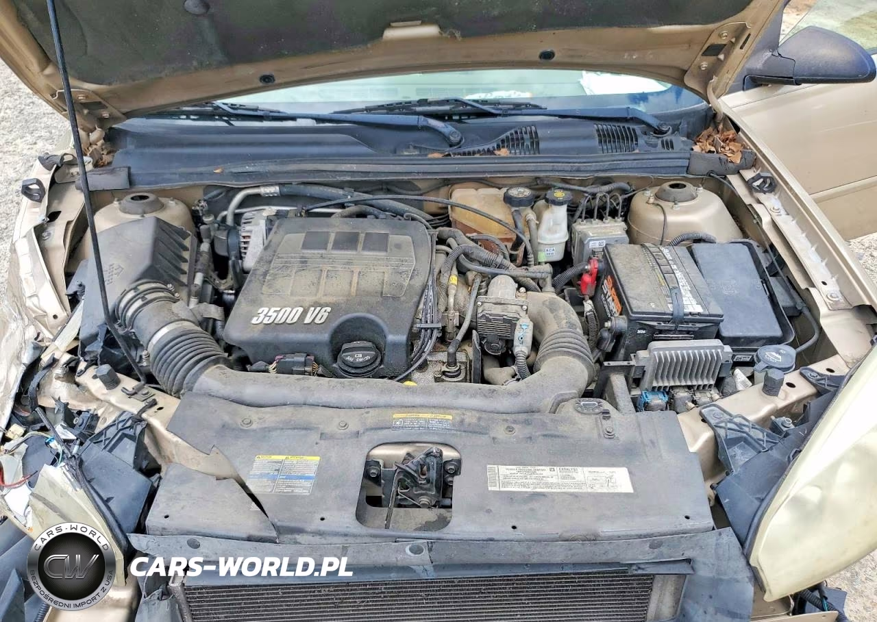 2005 Chevrolet Malibu Ls VIN:1G1ZT52825F226147 - 11