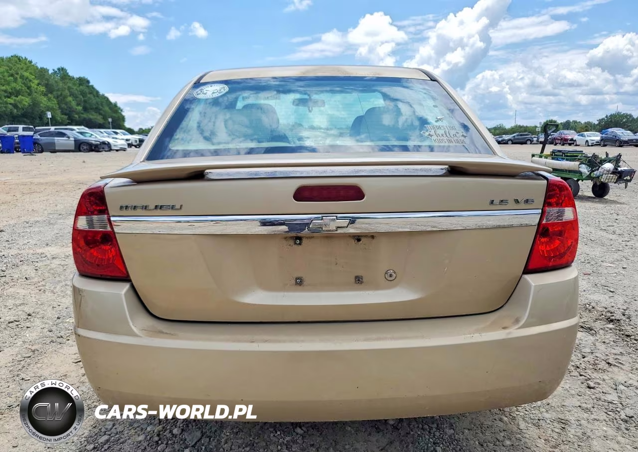 2005 Chevrolet Malibu Ls VIN:1G1ZT52825F226147 - 6
