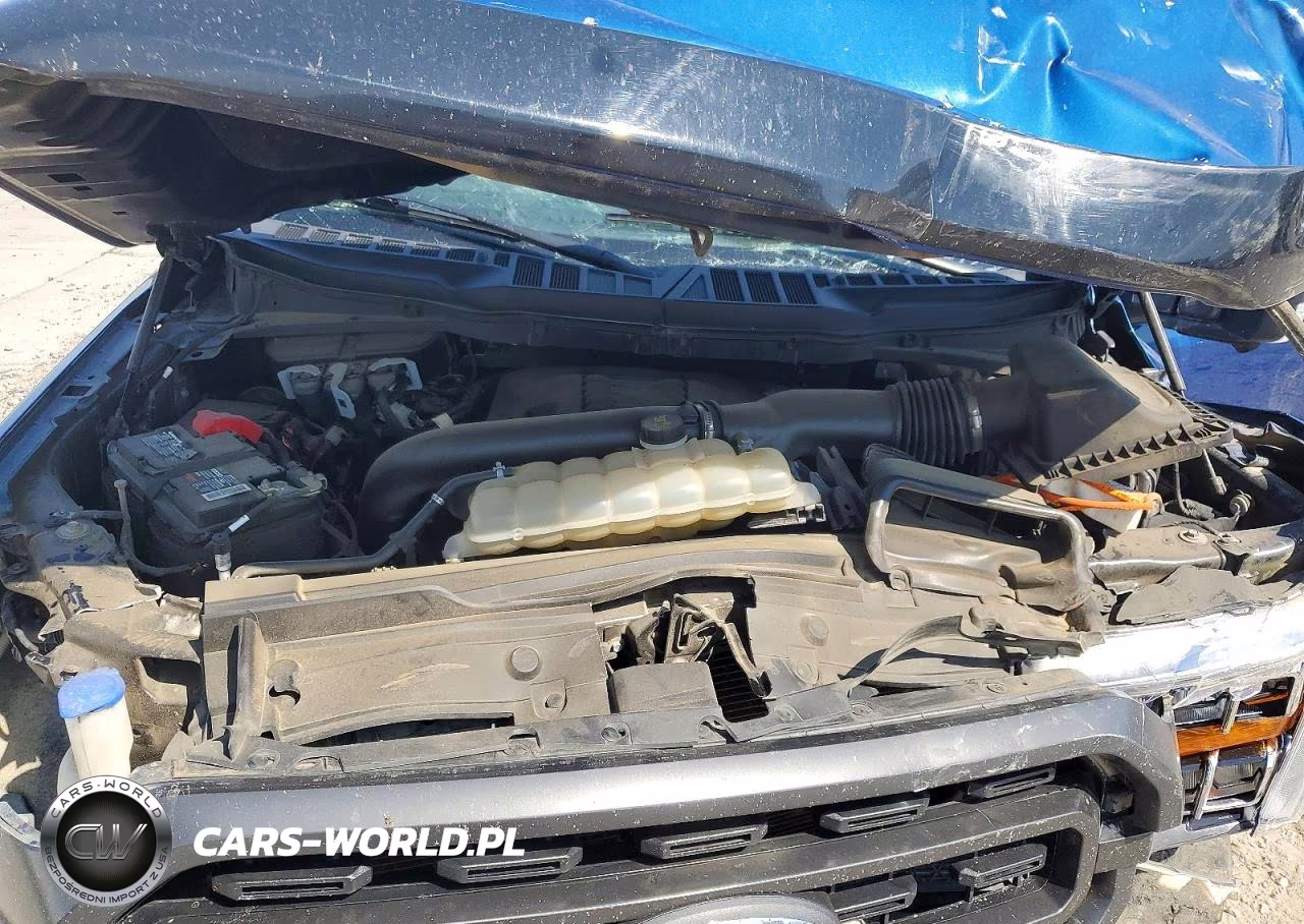 2022 Ford F150 Supercrew VIN:1FTFW1E81NKF04663 - 11