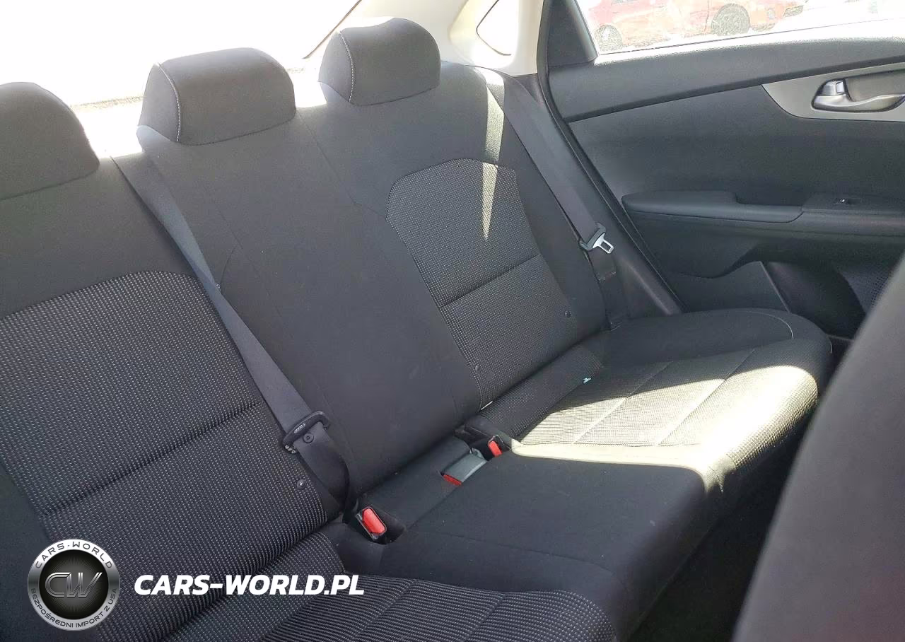 2019 Kia Forte Fe VIN:3KPF24AD9KE073942 - 10