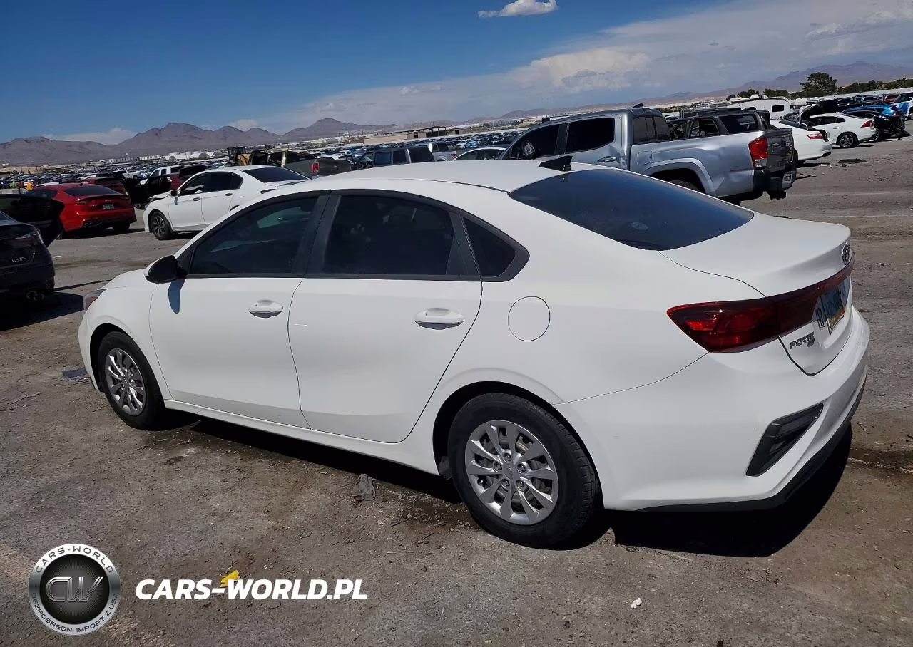 2019 Kia Forte Fe VIN:3KPF24AD9KE073942 - 2