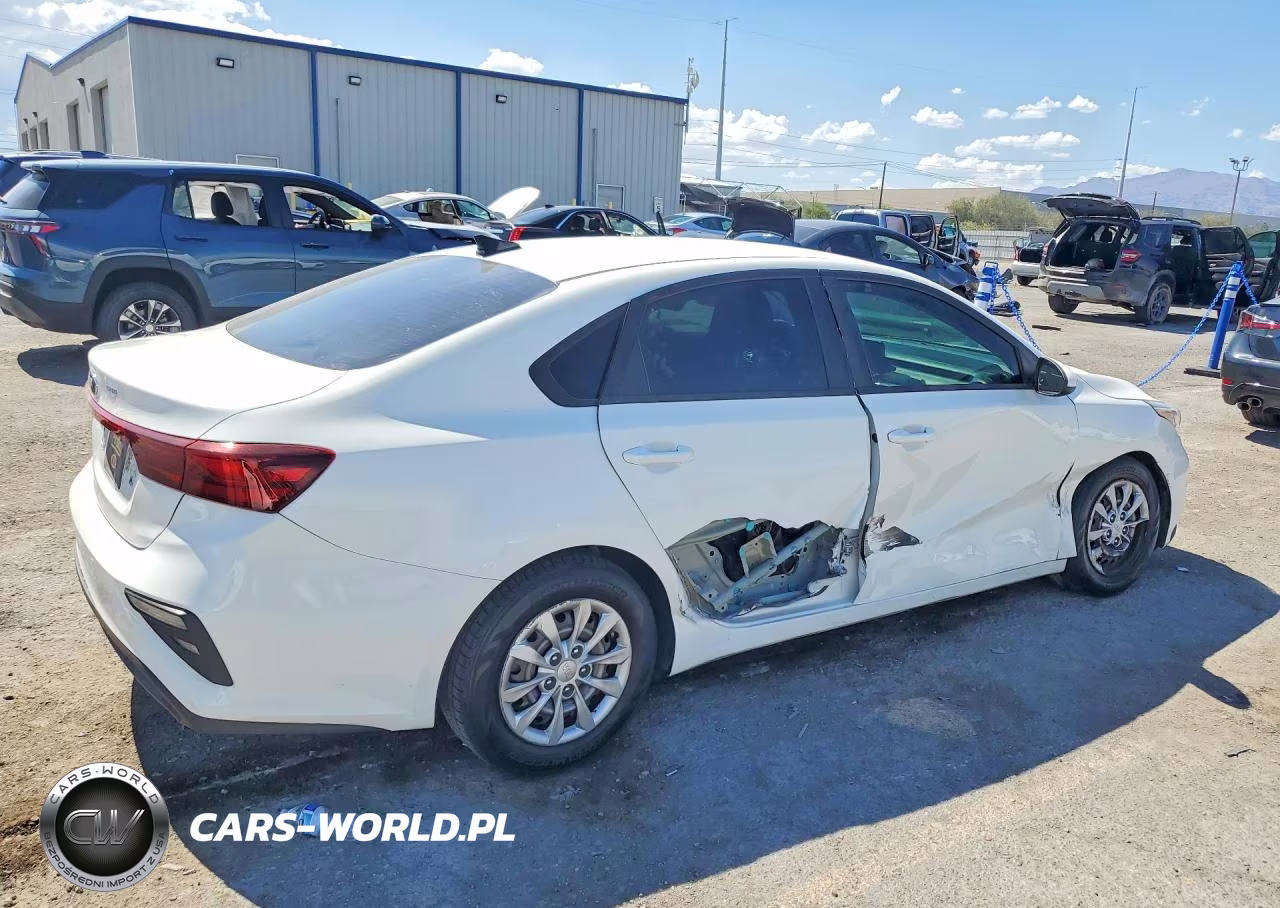 2019 Kia Forte Fe VIN:3KPF24AD9KE073942 - 3