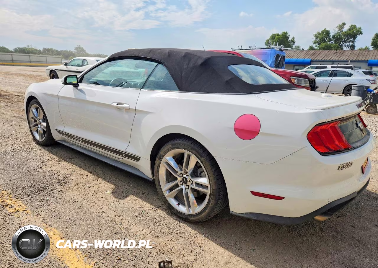 2019 Ford Mustang VIN:1FATP8UH9K5185734 - 2