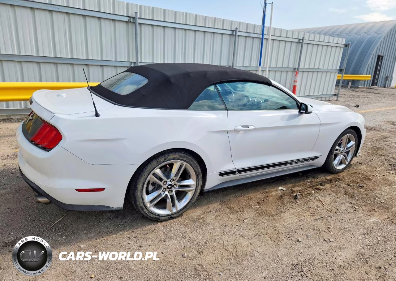 2019 Ford Mustang VIN:1FATP8UH9K5185734 - 3