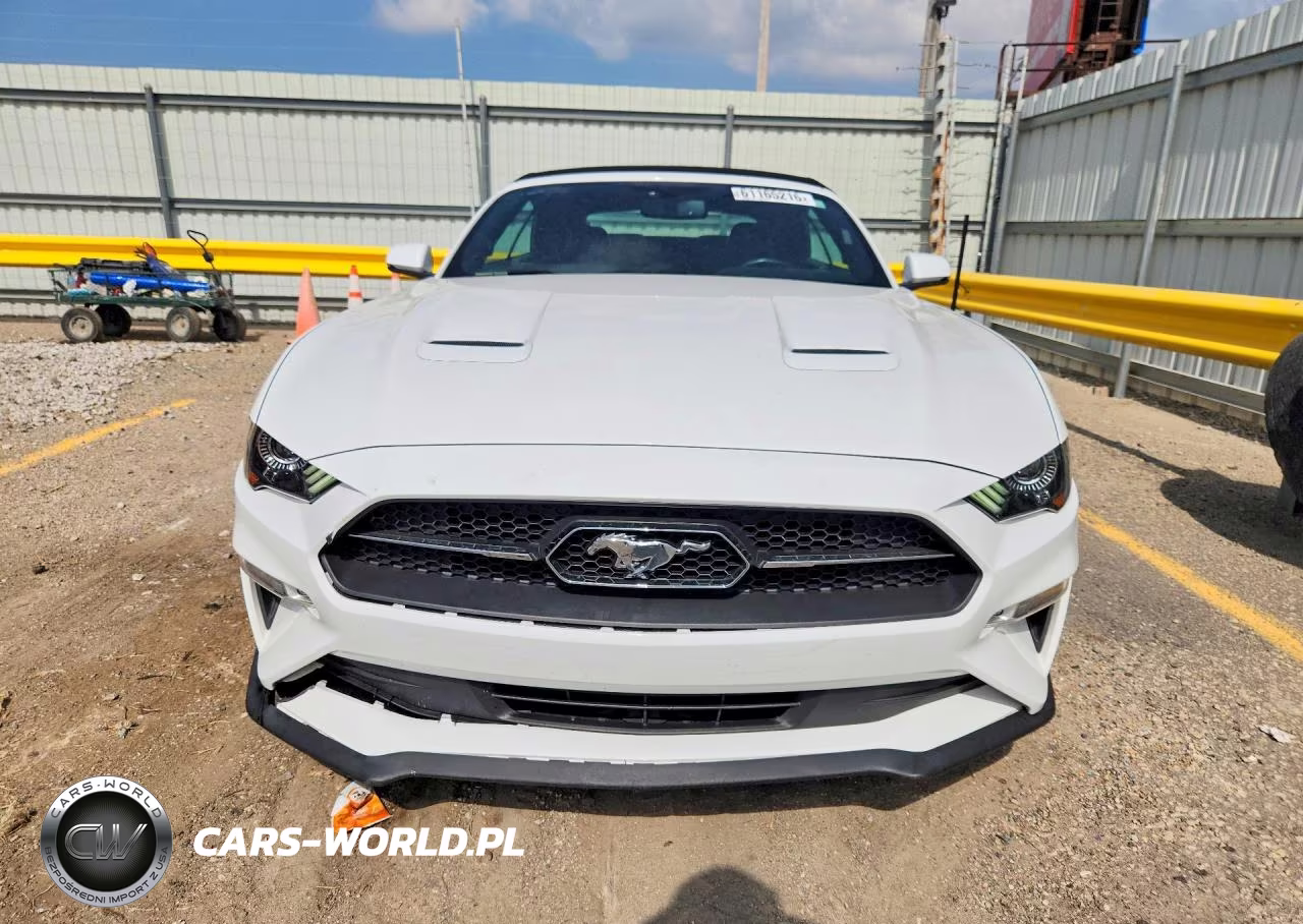 2019 Ford Mustang VIN:1FATP8UH9K5185734 - 5