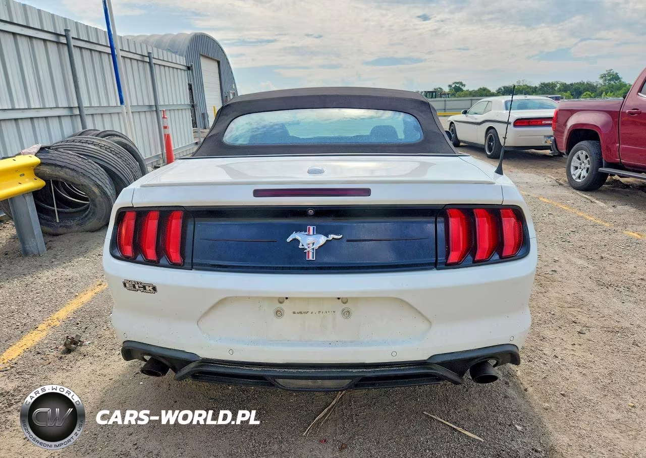 2019 Ford Mustang VIN:1FATP8UH9K5185734 - 6