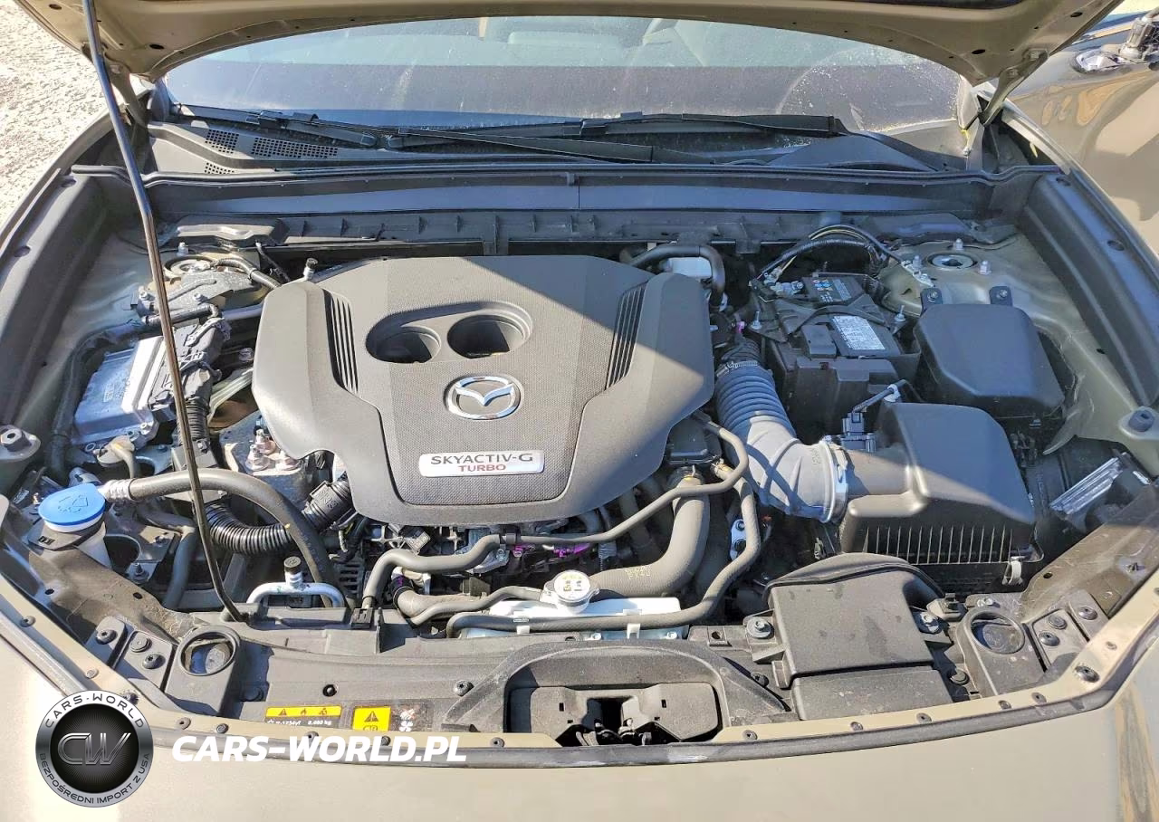 2025 Mazda Cx-30 Carbon Turbo VIN:3MVDMBXY7SM753908 - 12