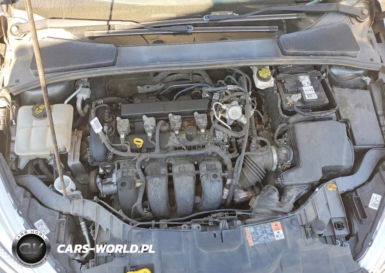 2018 Ford Focus Se VIN:1FADP3F23JL204014 - 11