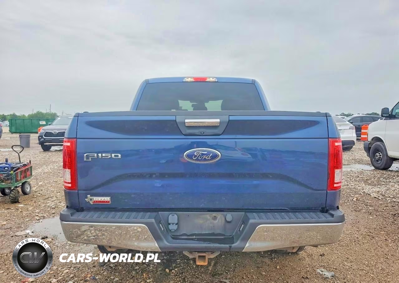 2015 Ford F150 Supercrew VIN:1FTEW1CG3FKE09044 - 6