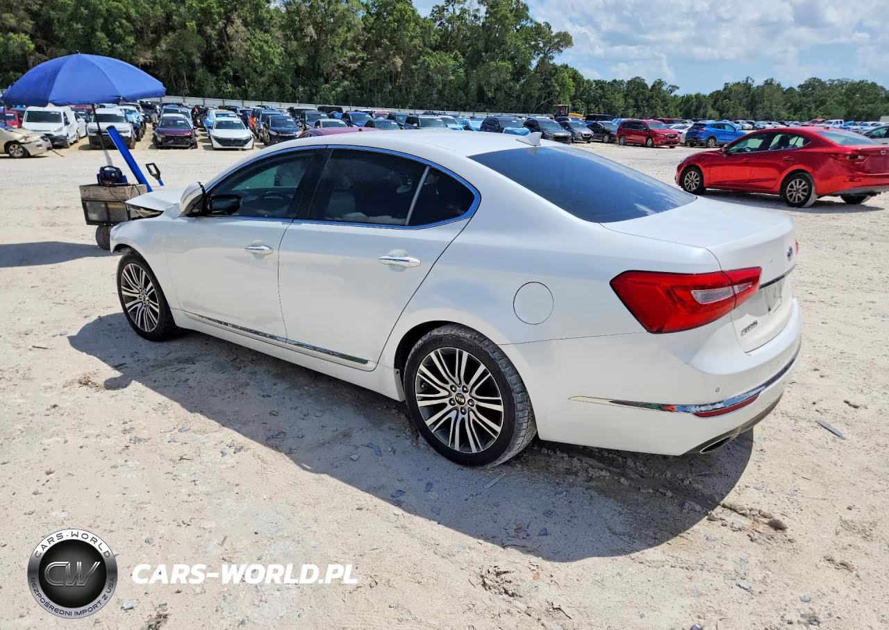 2015 Kia Cadenza Premium VIN:KNALN4D72F5180197 - 2