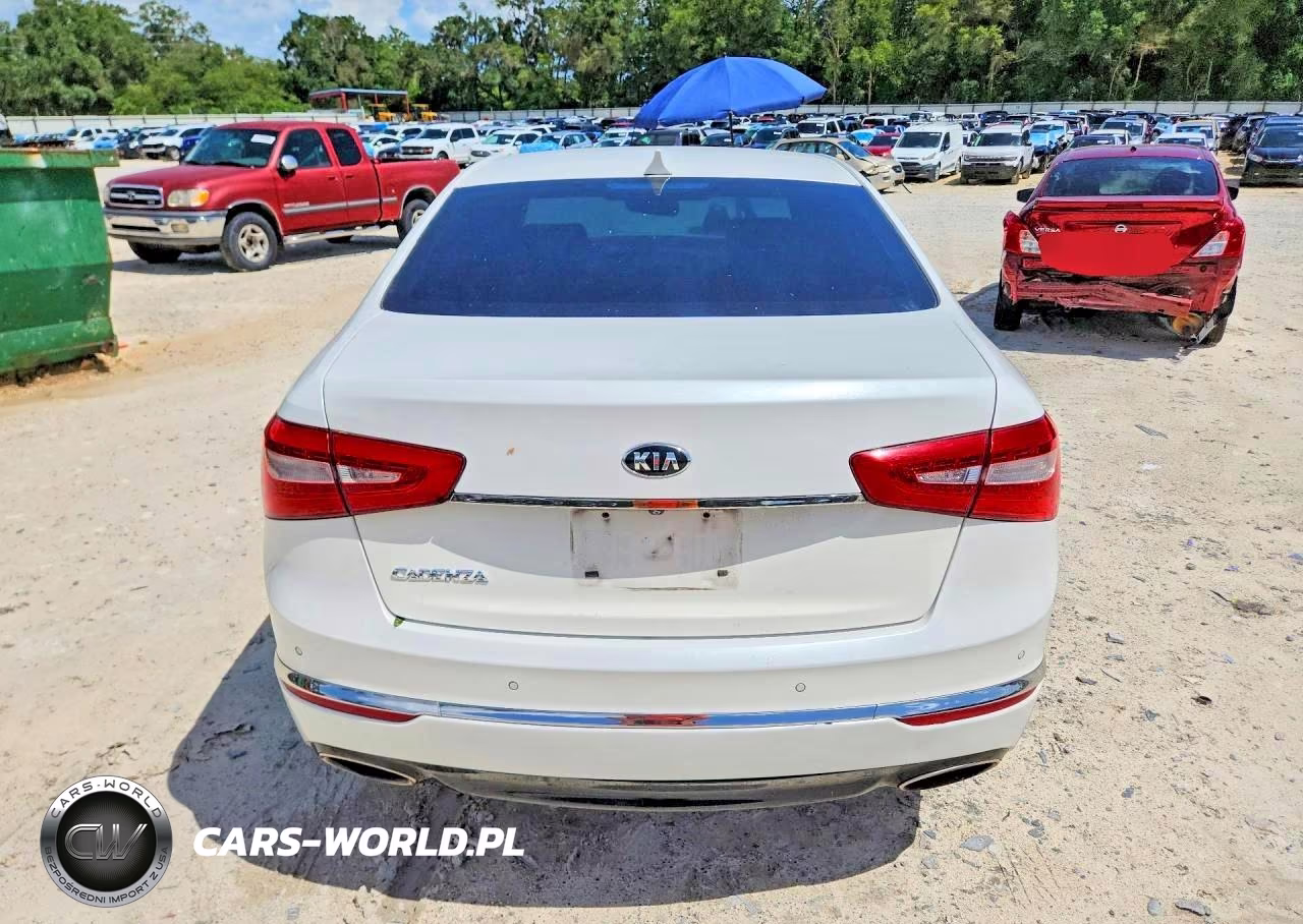 2015 Kia Cadenza Premium VIN:KNALN4D72F5180197 - 6
