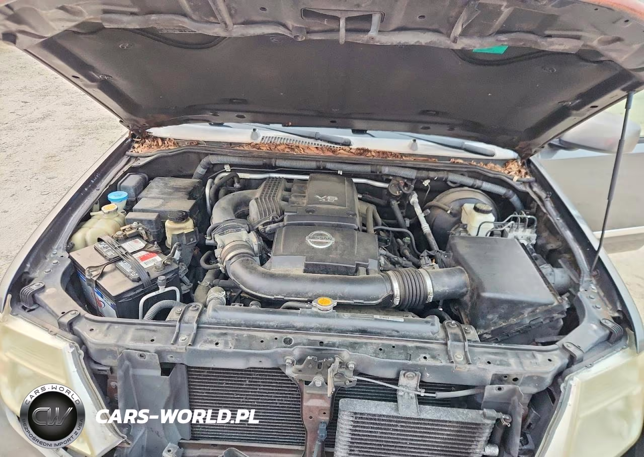 2009 Nissan Pathfinder S VIN:5N1AR18B69C613561 - 12