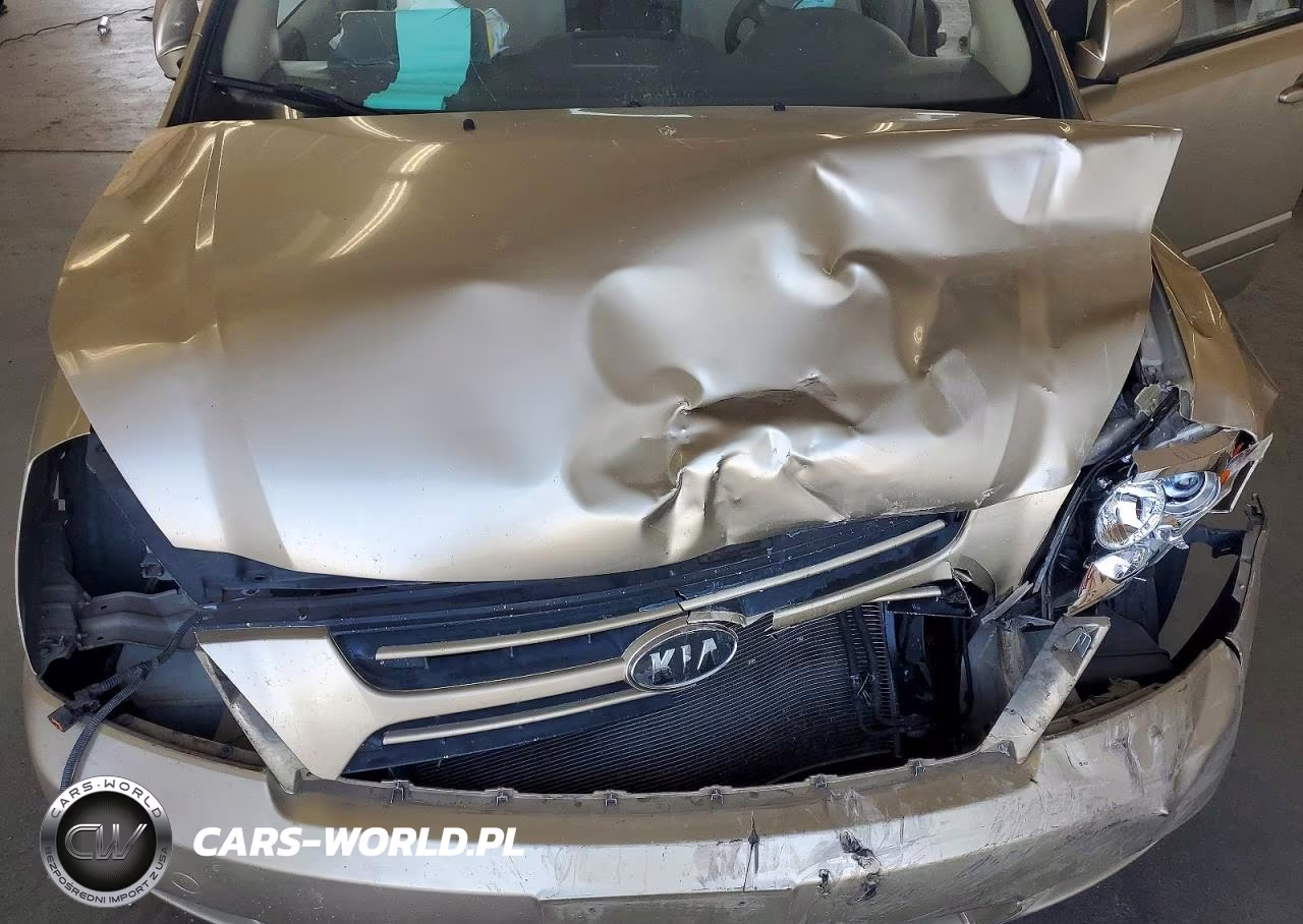 2007 Kia Sedona Base VIN:KNDMB233076162120 - 11